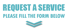 Fill This Form Of Cicero