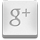 Google Plus icon Houston TX